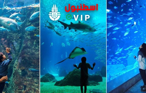 جولات سياحية في اسطنبول اكواريوم