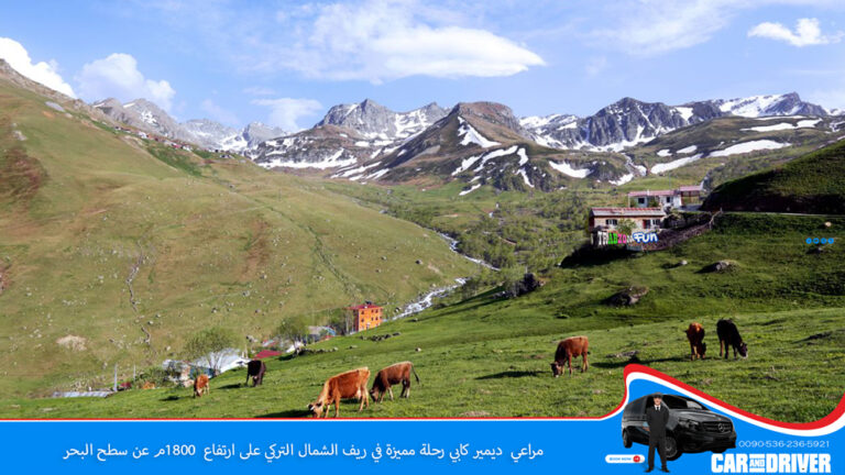 المراعي في جولة ديمير كابي