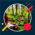 سيارة مع سائق جولة سبانجا