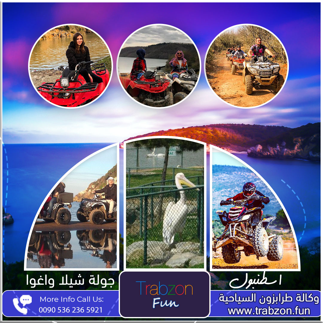 نشاطات جولة شيلا واغوا