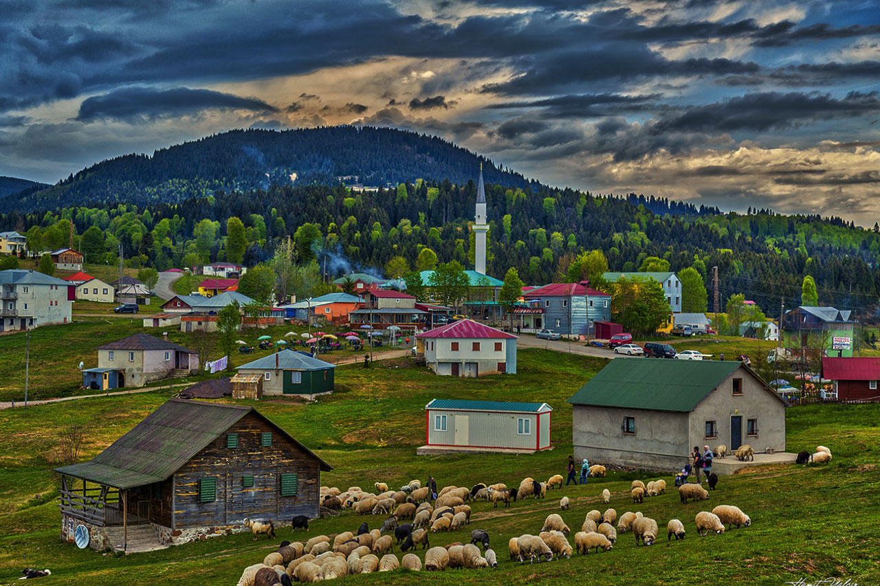 رحلة قروب الى حيدرنبي