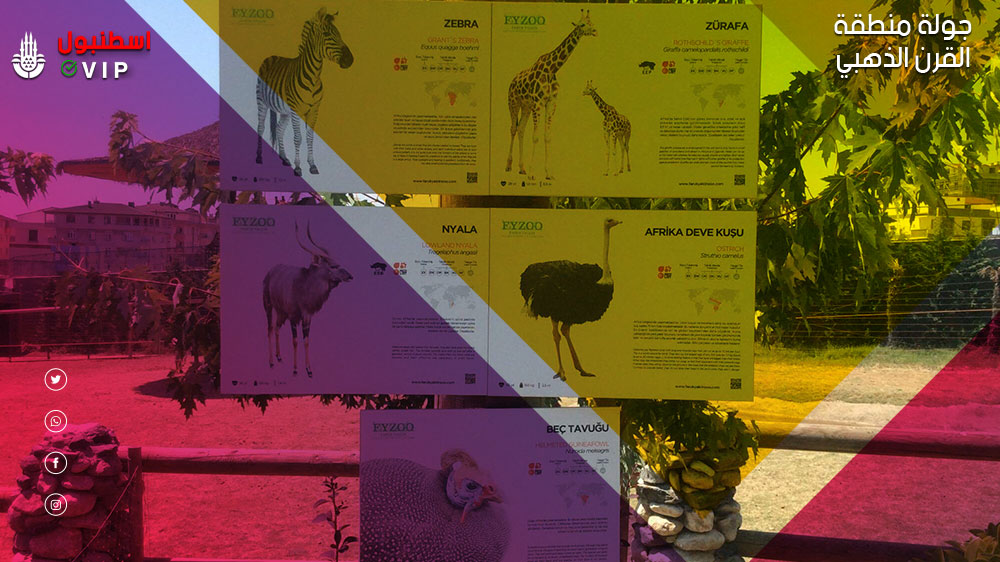 حديقة الحيوان منطقة ايوب